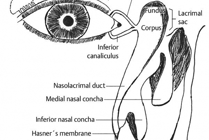 No fears for tears: how crying helps relieve stress