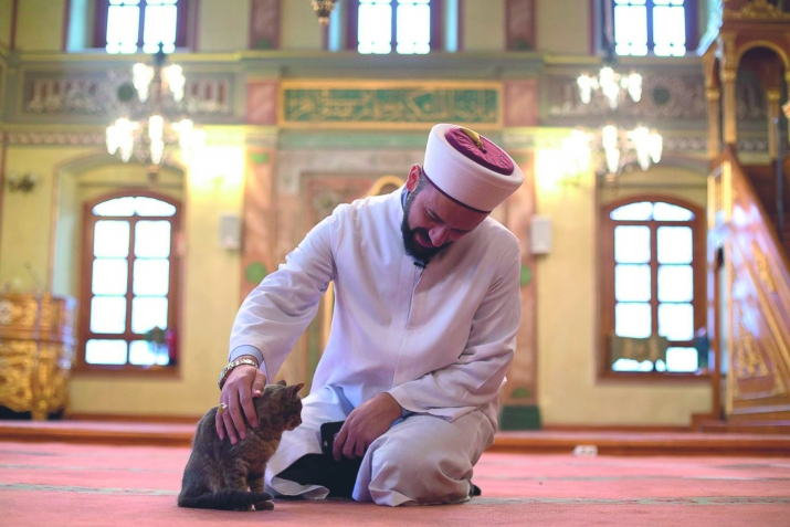 Tasavvuf ehli̇ merhamet ehli̇