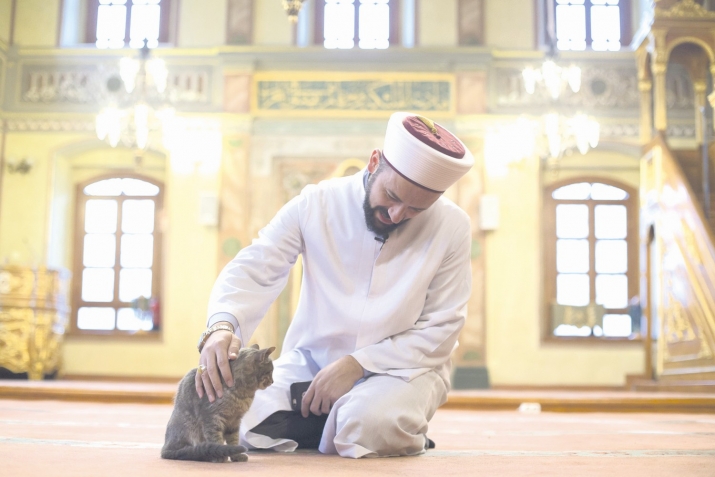 Пайхаммарны ﷺ асгьабалары: Амр бин аль-Ас