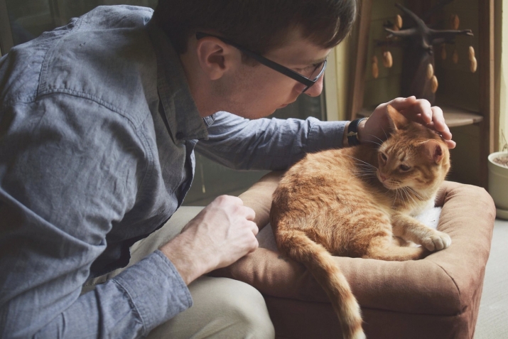 Kindness to animals