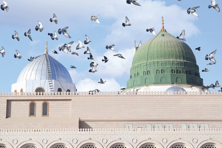 The Treasures of Our Hearts
